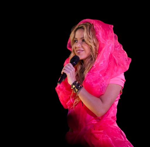 10. Shakira – 20 mln dolarów