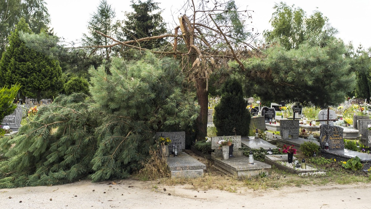 POZNAŃ JUNIKOWO CMENTARZ ZNISZCZENIA PO NAWAŁNICY  (zniszczony cmentarz)