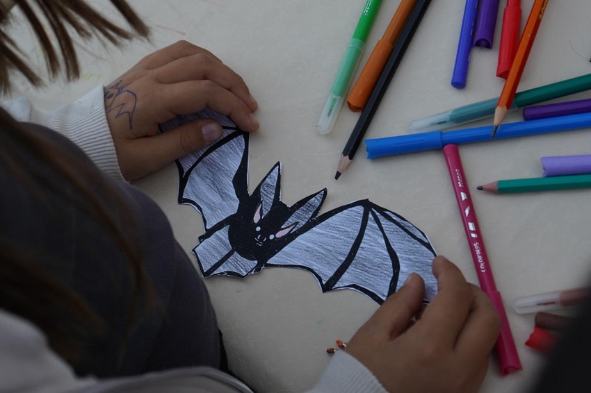 Međunarodna noć slepih miševa