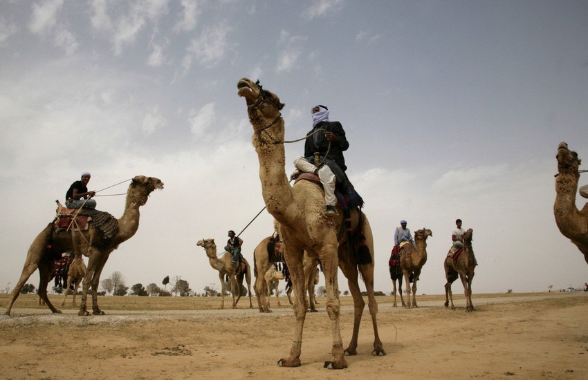 Izraelski beduini na kamilama (foto: ilustracija)