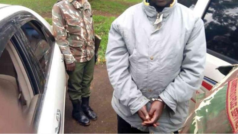 Image result for suspect coperates kenya