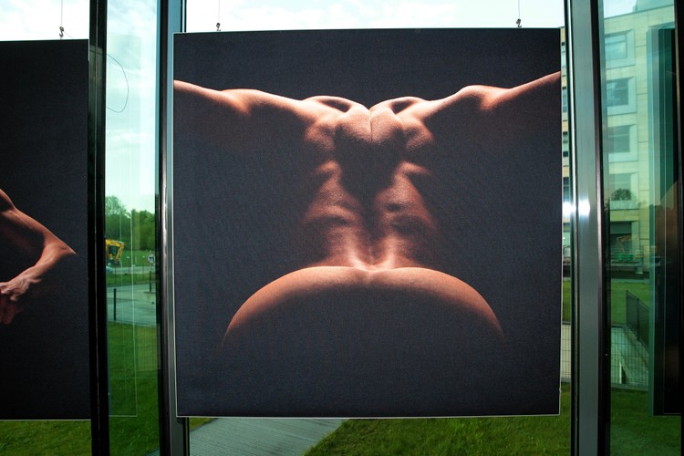 Żona Kamila Stocha rozebrała polskich skoczków