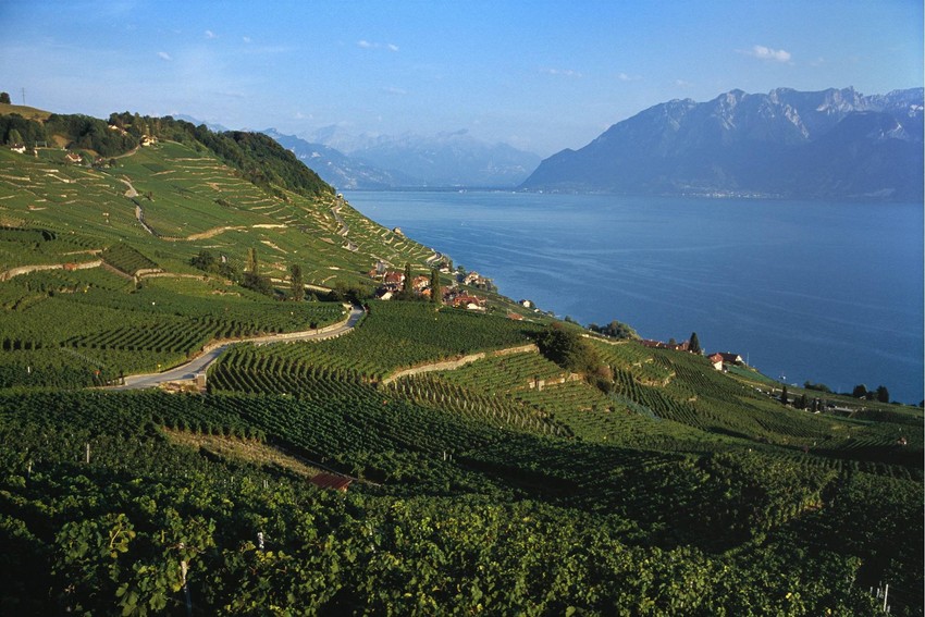 Naučnici upozoravaju da bi Ženevsko jezero, na čijim obalama živi milion ljudi, moglo biti izloženo riziku od cunamija