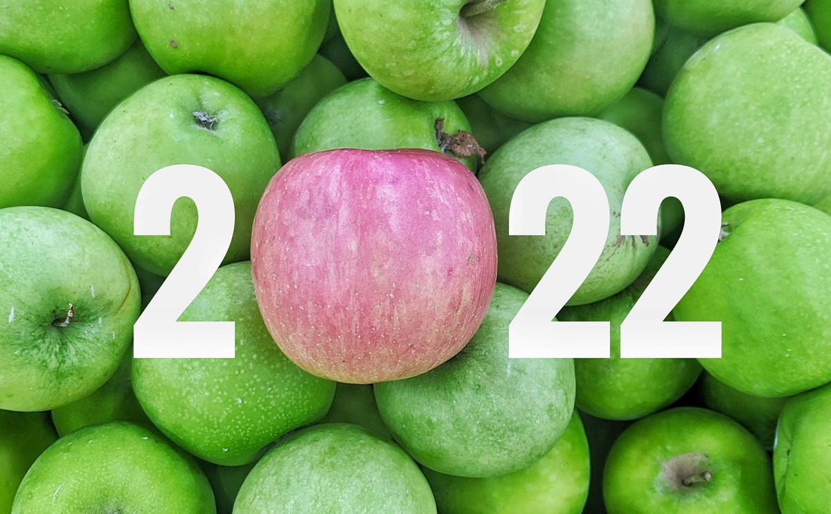Dieta w 2022 roku
