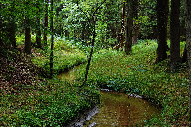 Połczyn-Zdrój