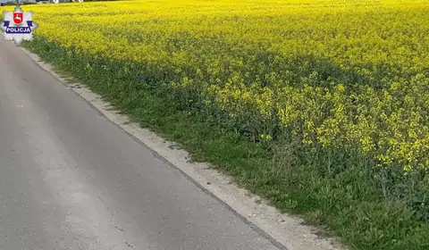 Policjanci ruszyli w pościg. Sprawa skończyła się w rzepaku