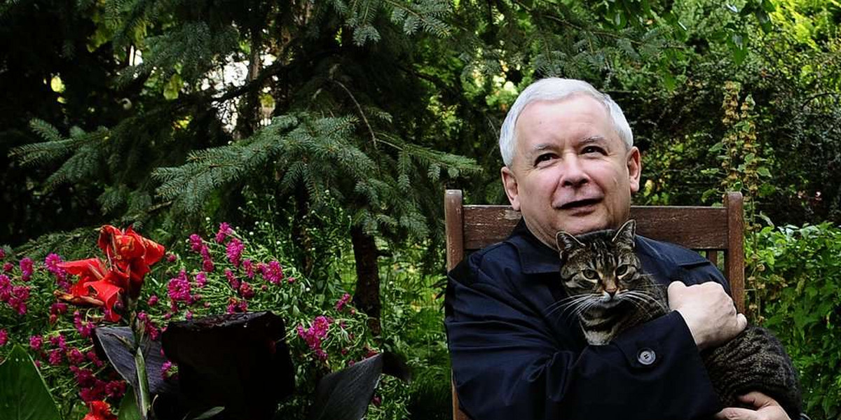 Kaczyński bawi się z kotem. Tęskni za Alikiem? FOTY