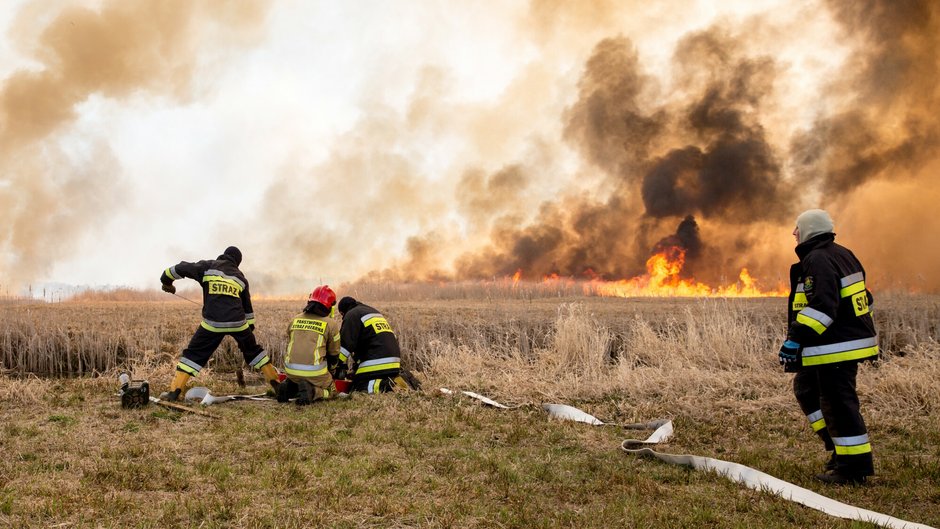 Goniądz - pożar suchych traw w Biebrzańskim Parku Narodowym, 2020 r.