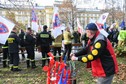 Manifestacja służb mundurowych