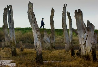 200 mln euro już przydzielono firmom