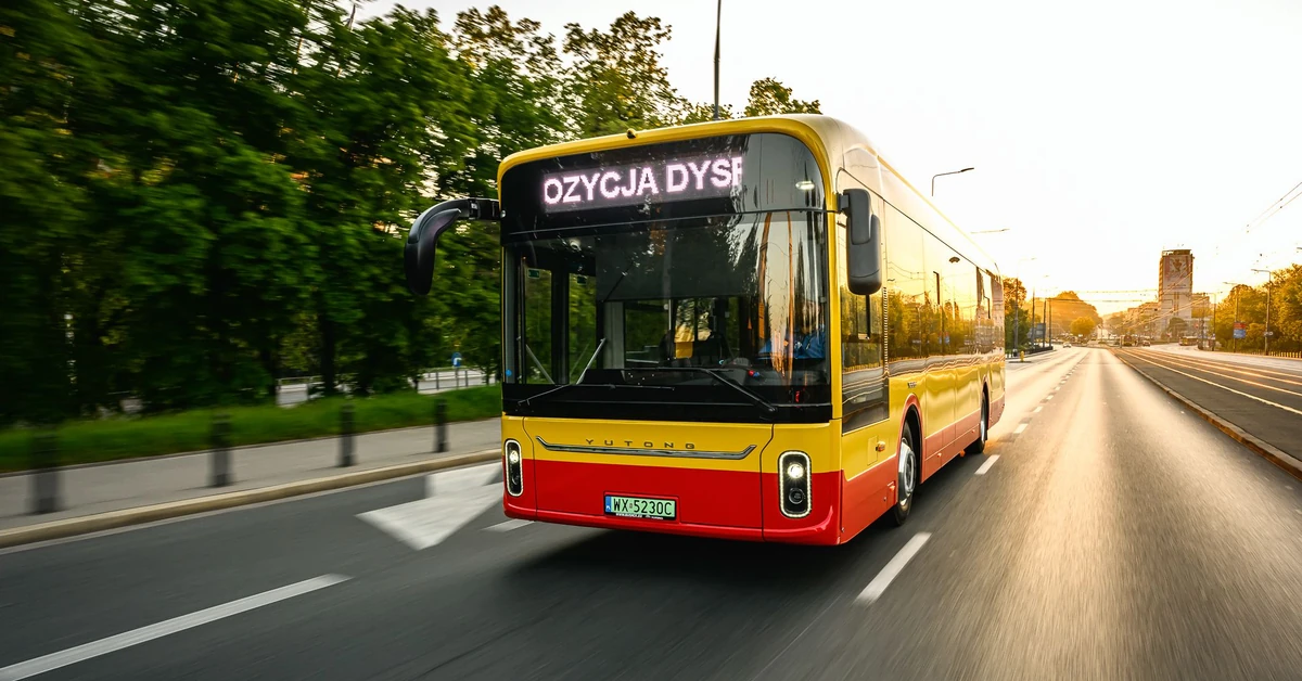 Nowe autobusy wyjechały na drogi. Zaskakujące dane z polskich miast