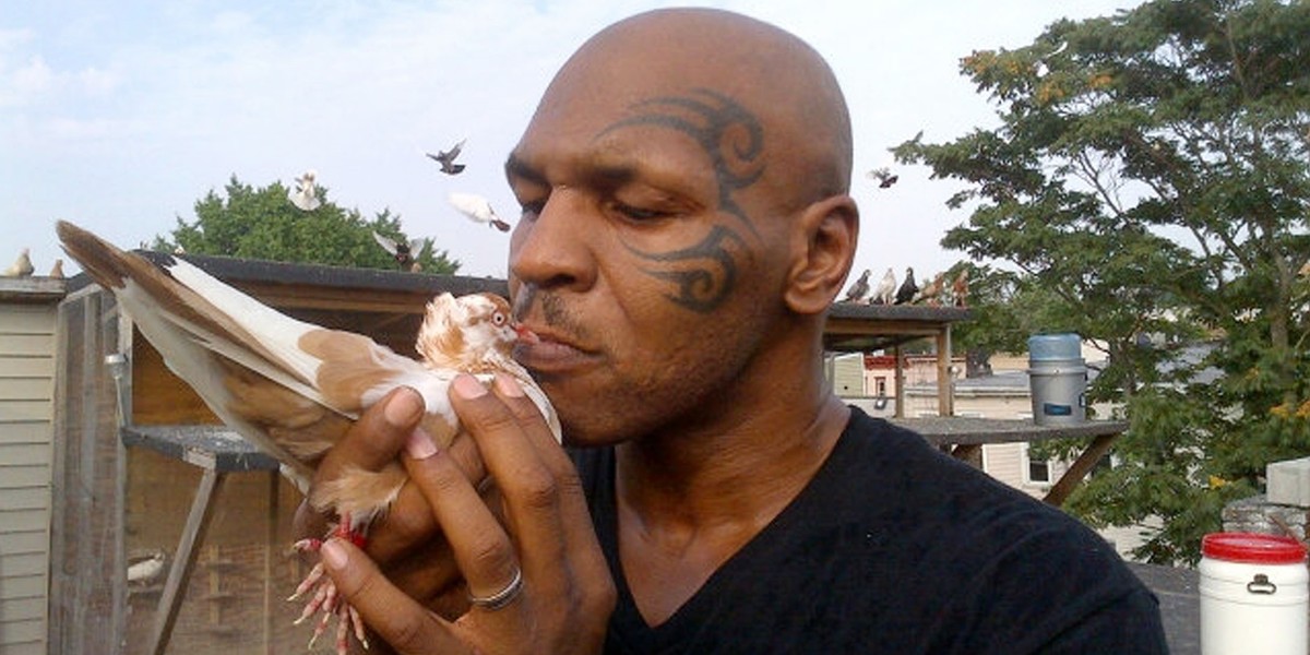 Mike Tyson przyleciał do Polski po gołębie!