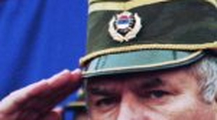 Mladic éhségsztrájkkal fenyegetőzik 
