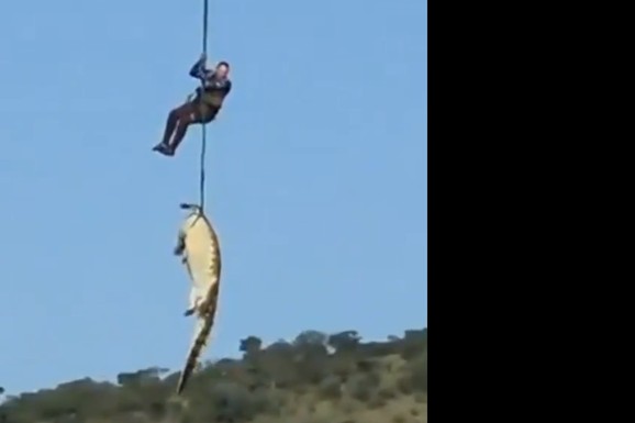 Postoji JEZIV RAZLOG zašto ovaj krokodil nije mogao da potone: Policija je iz njegovog želuca izvukla LJUDSKE UDOVE i dokaze o još 5 žrtava! (VIDEO)