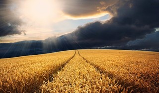 Tradycja i nowoczesność