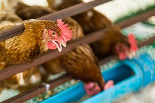 Pora zmienić perspektywę