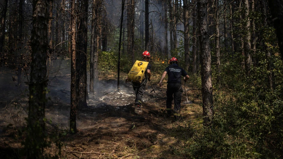 U Deliblatskoj peščari vatrogasci gase manja žarišta | Foto: Reuters