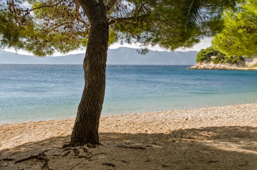 Drvenik, Makarska Riviera