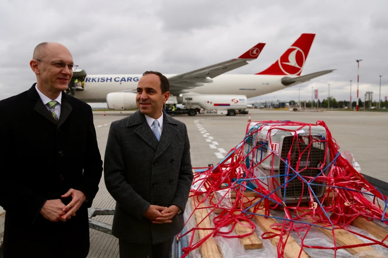 Goran Trivan i Tanžu Bilgič