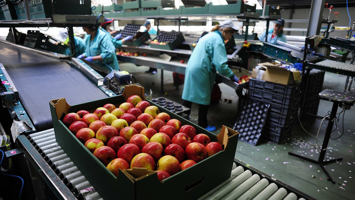 Komisja Europejska odblokowała w poniedziałek 125 mln euro na wsparcie sektora owoców i warzyw dotkniętego rosyjskim embargiem rolno-spożywczym. Unijne fundusze mają być przeznaczone na wycofanie z rynku części zbiorów, co ma zapobiec nadmiernemu spadkowi cen.