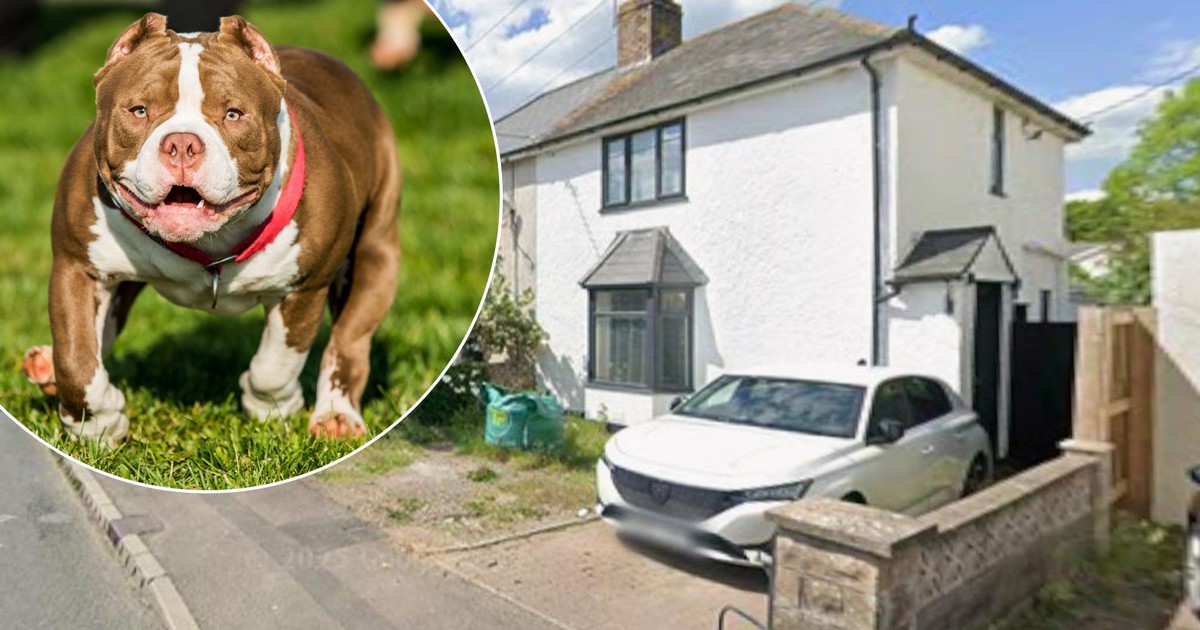 Wściekły pies zagryzł 9-miesięczne niemowlę. Dwie osoby aresztowane