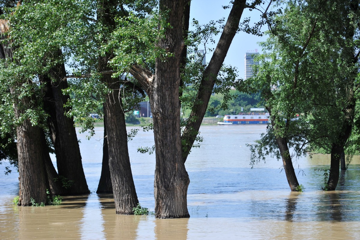 Fala wezbraniowa na Wiśle w Warszawie