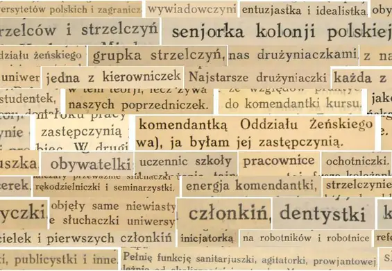 Warszawski ratusz promuje używanie feminiatywów w szkołach. Radny PiS oburzony