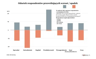 Wydajność firm wzrośnie, ale europejscy pracownicy stracą na pandemii [BADANIE EBC]