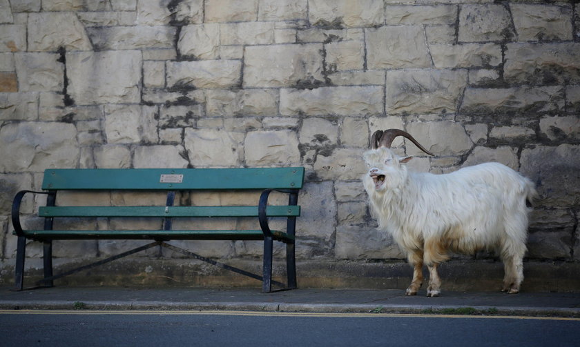 Llandudno