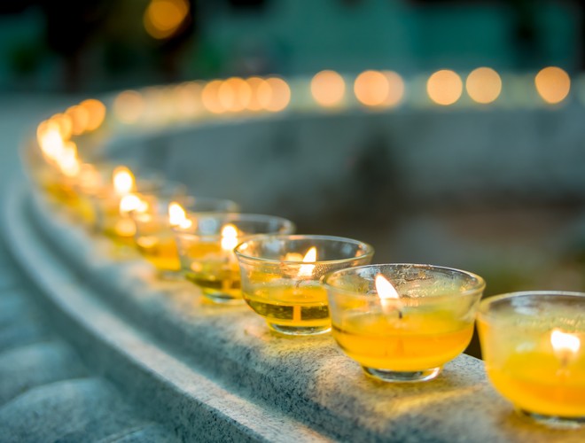 Wszystkie zalety trawy cytrynowej