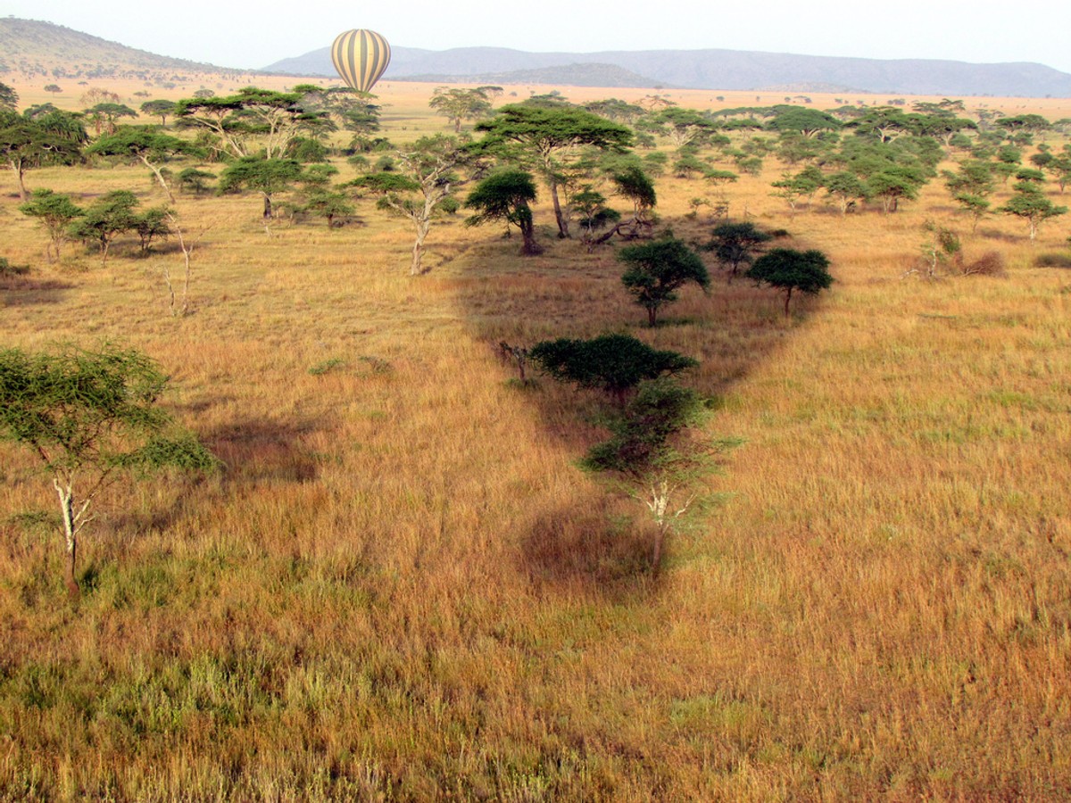 Tanzania w Kenii