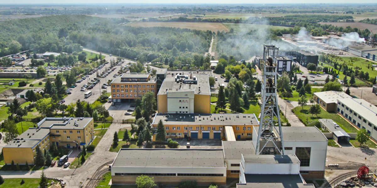 Bogdanka na koniec 2016 r. miała 15,9 proc. udziałów w rynku węgla energetycznego w Polsce