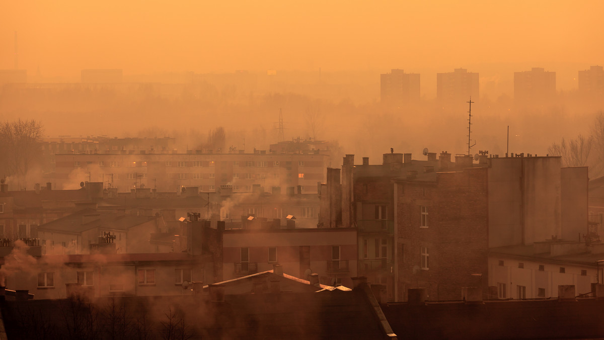 Znaczne przekroczenie stężenia szkodliwych pyłów w powietrzu zanotowano w wielu miastach na Śląsku, w Małopolsce, na Podkarpaciu, a także m.in. w Nysie, Jeleniej Górze, Tomaszowie Mazowieckim i Suwałkach. W tych miejscach aplikacja Airly wskazuje na ekstremalnie zły stan powietrza. Koleje Śląskie wprowadziły bezpłatne przejazdy dla kierowców.