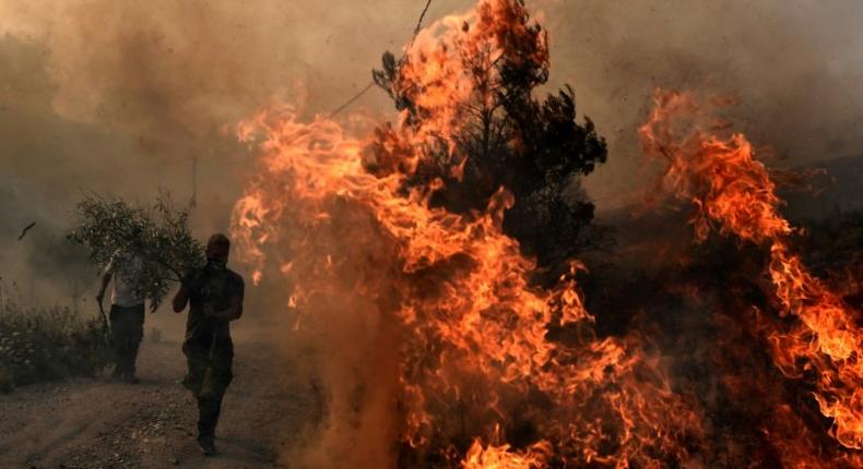 Greek firefighters and volunteers trying to extinguish a fire east of Athens, as the army was called in to assist the effort