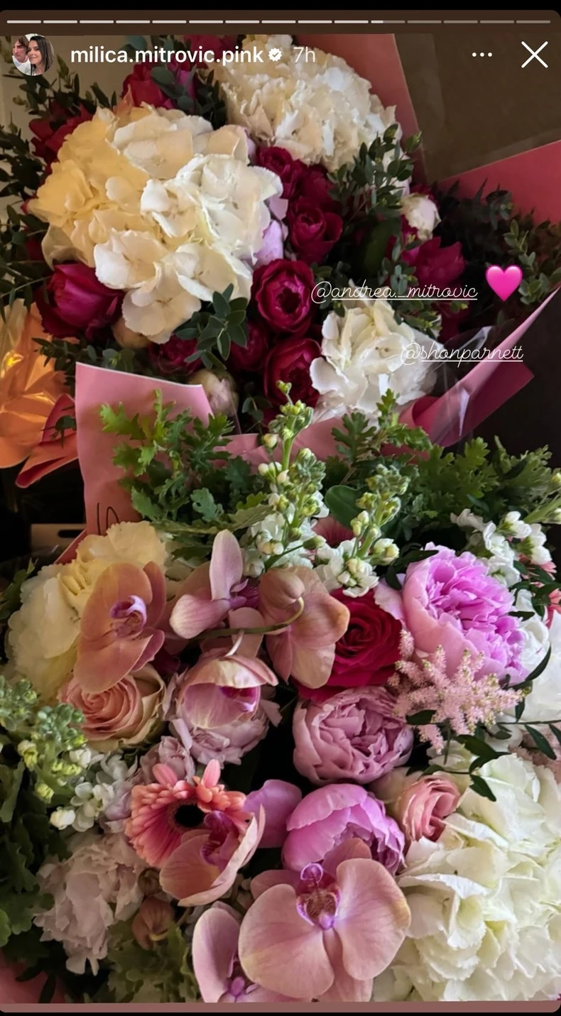 Rođendan Milice Mitrović