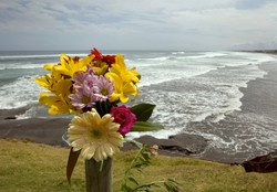 Laureat Złotego Niedźwiedzia nie żyje - zaatakował go rekin