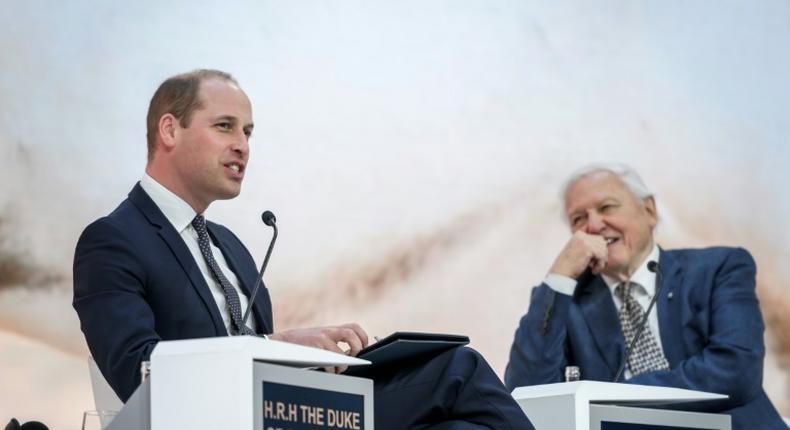 Britain's Prince William, Duke of Cambridge (L) got to turn the tables on veteran British naturalist, documentary maker and broadcaster David Attenborough by interviewing him at Davos