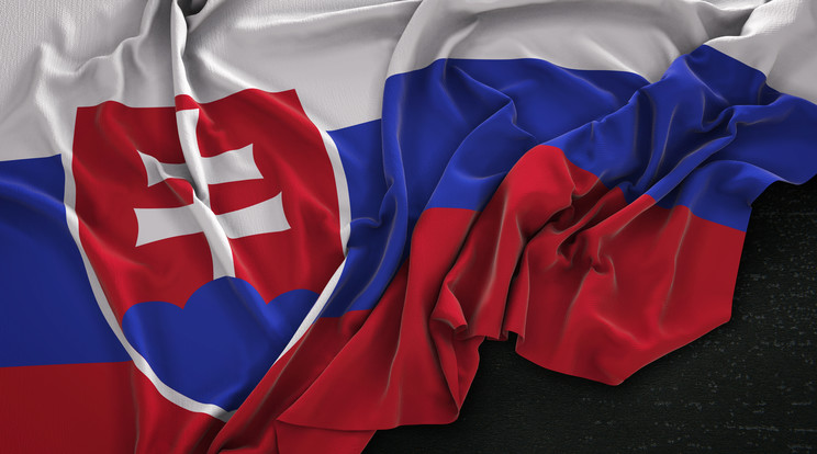 Megkezdődött az elnökválasztás Szlovákiában / Illusztráció: Freepik