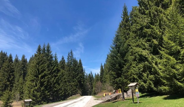 Planina Golija
