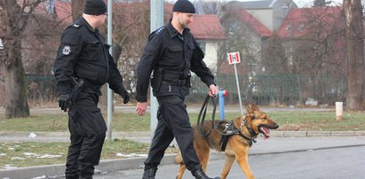 Co się dzieje? To już zmasowany "atak" na Polskę. Dane są porażające!