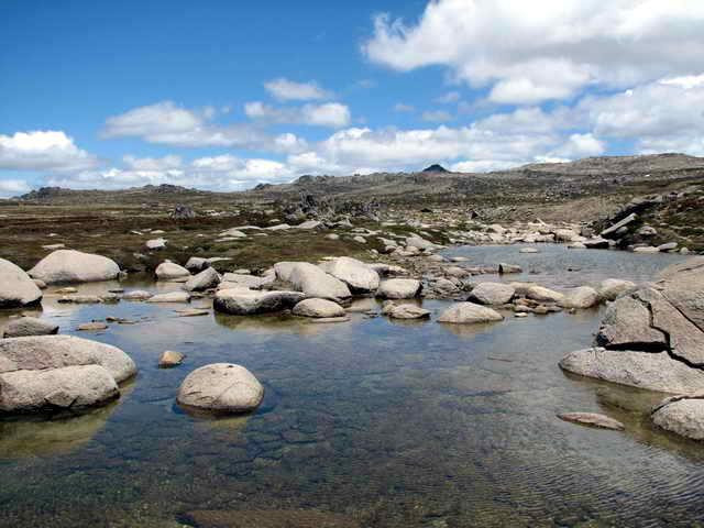 Galeria Australia - Kosciuszko National Park, obrazek 18