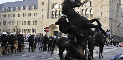 Koń przygniótł policjanta