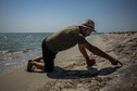 Delfiny czarnomorskie ofiarami rosyjskiej napaści na Ukrainę
