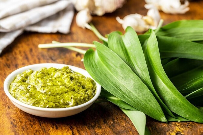 Pesto od sremuša