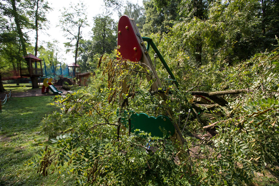 Zniszczone zoo w Poznaniu