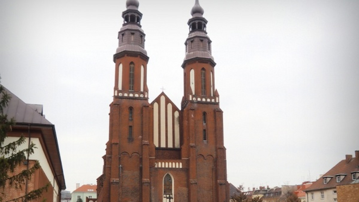 Opolska katedra to jeden z najsłabiej przebadanych przez naukowców zabytków w stolicy regionu. Podczas prowadzenia prac związanych z przeznaczeniem jednej z naw na kaplicę spowiedzi odkryto część zabytkowej chrzcielnicy oraz gotyckie wątki ścian.