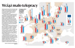 Wciąż mało telepracy w Polsce