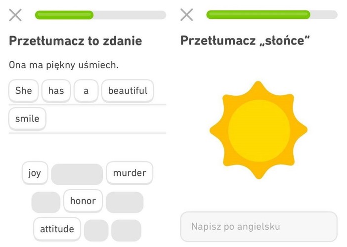 Duolingo to platforma językowa, która umożliwia naukę języków takich jak: angielski, hiszpański, francuski, niemiecki, włoski, portugalski, rosyjski, japoński, holenderski, szwedzki, irlandzki, turecki, norweski, koreański i wiele innych. Idea aplikacji bazuje na nauce przez zabawę – użytkownicy stopniowo poznają wybrany język poprzez wykonywanie coraz bardziej skomplikowanych zadań, a za postępy są nagradzani punktami oraz bonusami. Trudność ćwiczeń można dopasować do posiadanych umiejętności.