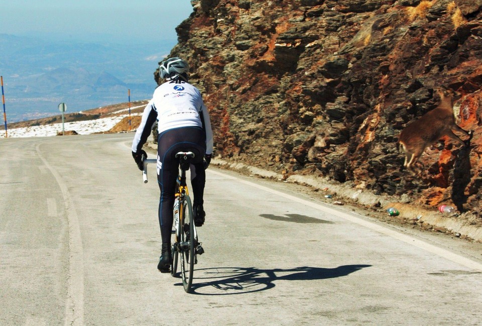 Paula Gorycka w Sierra Nevada