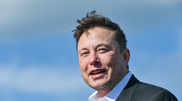 Elon Musk lesz a szólásszabadság  felkent lovagja? /Fotó:Northfoto